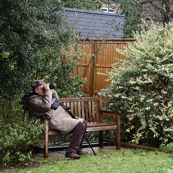 SIMON GARDEN BIRD WATCH